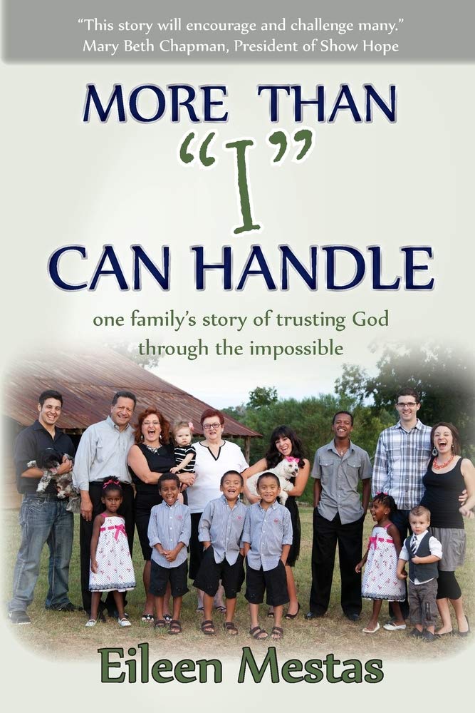 More Than I Can Handle - Book