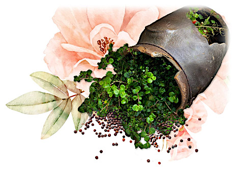 mustard seeds flowers with faith